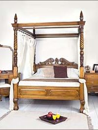 NOS102